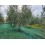 Mreža za berbu maslina BR GARDEN