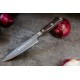 Dick D81147-12 DARKNITRO kovani nož, 12 cm