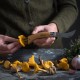 001327 Opinel nož za gljive (GiftBox)