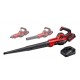 Einhell PXC GE-UB 18/250 Li E (1x4,0 Ah), akumulatorski puhač lišća u setu