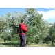 LISAM baterijski tresač maslina OLIVECO 1150 o/min 335cm