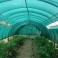 Mreža za sjenu BR Garden 40 %
