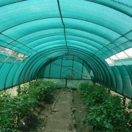 Mreža za sjenu BR Garden 50 %