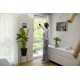 Kärcher čistač prozora WV 1 Compact / 150ml, 100min, 300m2